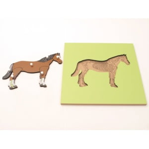 Sestavljanka živali. Sestavljanka konj. Na podlagi je narisano okostje živali.