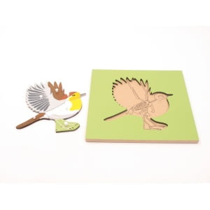 Sestavljanka živali. Sestavljanka ptice. Na podlagi je narisano okostje živali.